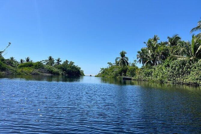 Crocodiles and Turtles Ecological Tour - Who Should Consider This Tour?