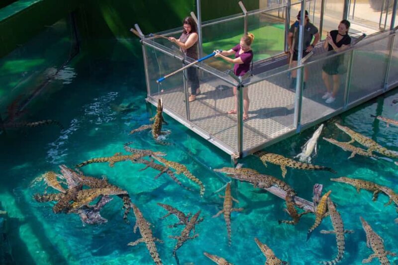 Crocosaurus Cove General Admission Ticket - What to Expect at Crocosaurus Cove