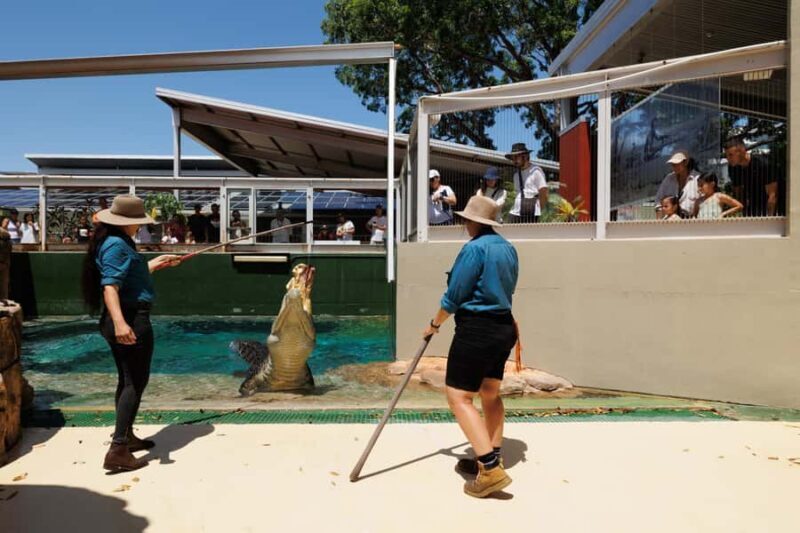 Crocosaurus Cove General Admission Ticket - What the Reviews Say