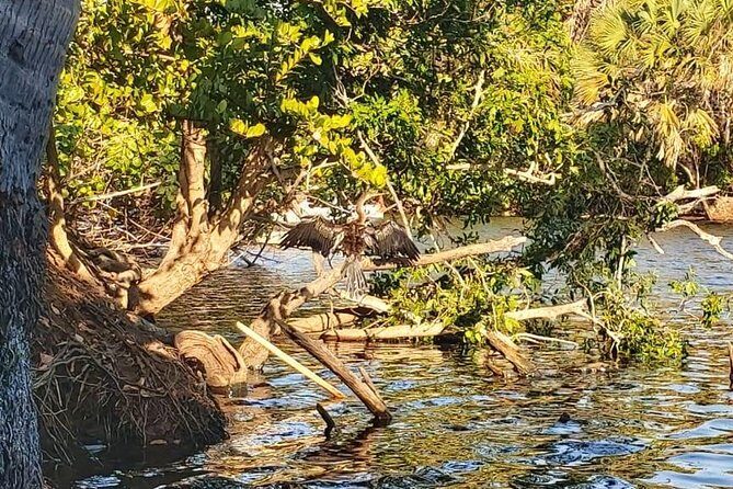 Croc´s & Turtle Aquarium - Practical Tips for a Smooth Experience