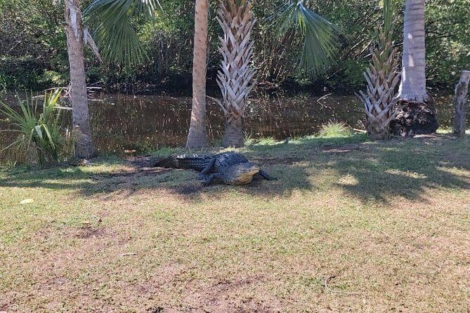 Croc´s & Turtle Aquarium - FAQs