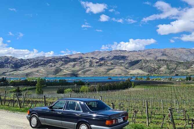 Cromwell Wine Tasting Tour using Classic Car - The Experience in Detail