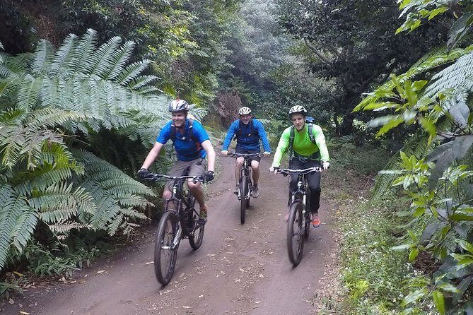 Cross Country - Moutain Bike Tour - Exploring Madeira’s Mountain Biking Landscape