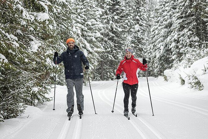 Cross Country Ski Introduction at Camp Mercier - Price and Value Analysis