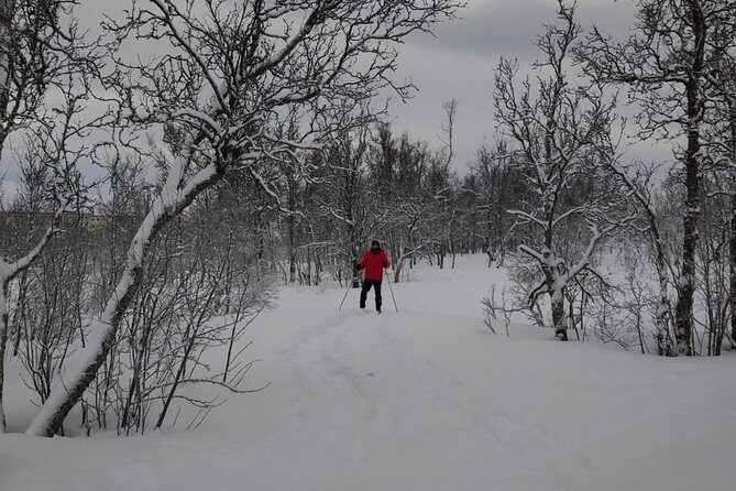 Cross-Country Ski Lesson for Beginners in Tromso - The Value of the Tour