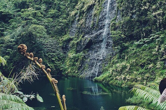 Crossing Over Tahiti Island Safari 4x4 - Exploring Tahiti’s Interior: What to Expect