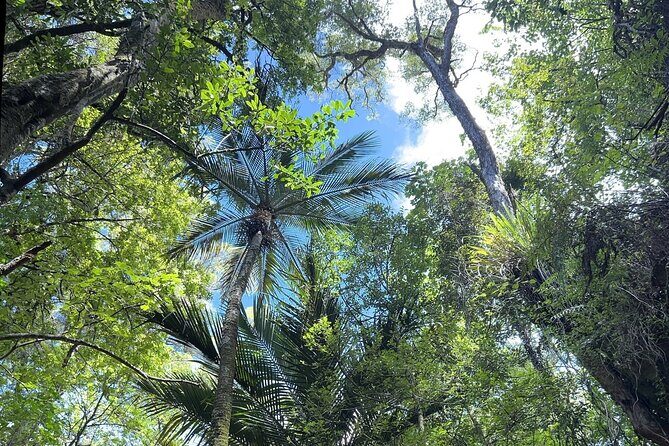 Cruise Abel Tasman to Golden Bay - Who Will Love This Tour?
