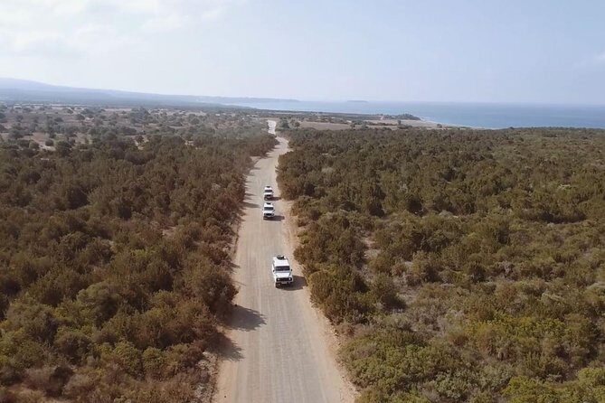 Cruise and 4X4 Safari Tour at Akamas Peninsula from Limassol - FAQ
