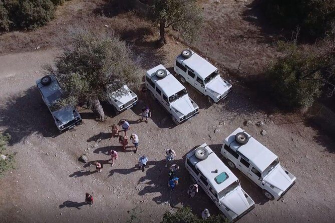 Cruise and 4X4 Safari Tour at Akamas Peninsula from Paphos - An In-Depth Look at the Akamas Peninsula Tour
