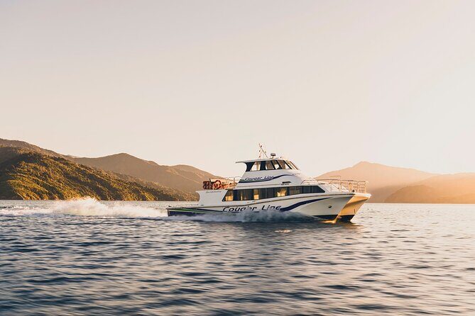 Cruise and Lunch at Furneaux Lodge - An In-Depth Look at the Experience