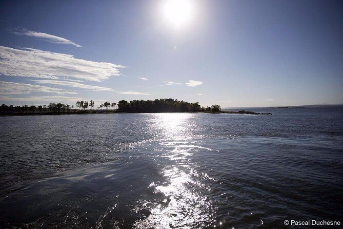 Cruise and Visit of Grosse-Ile - An In-Depth Look at the Tour Experience