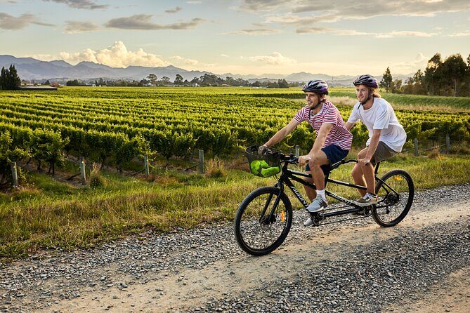 Cruise Excursion Self Guided Biking Wine Tour - The Allure of a Self-Guided Biking Wine Tour in Marlborough