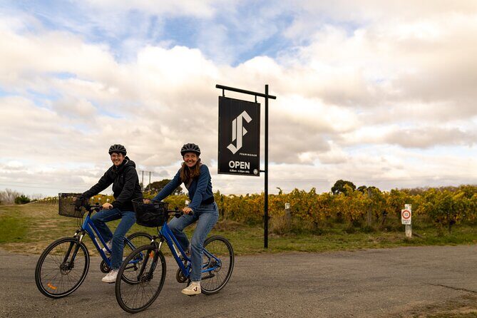 Cruise Excursion Self Guided Biking Wine Tour - The Wine Collection Service and Its Benefits