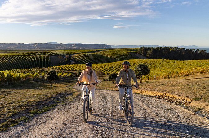 Cruise Excursion Self Guided Biking Wine Tour - Lunch and Additional Tips