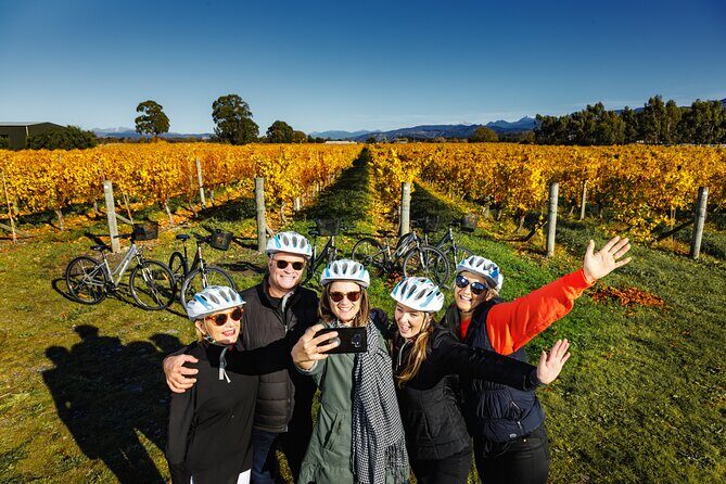 Cruise Excursion Self Guided Biking Wine Tour - Who Would Enjoy This Tour?