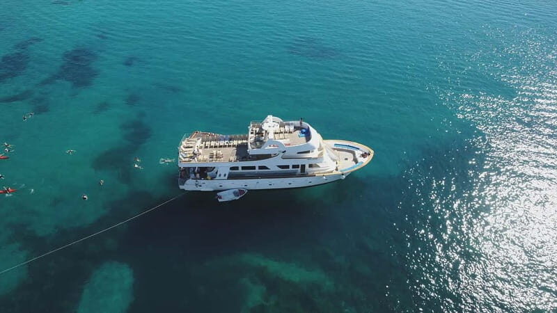 Cruise from Paphos Harbour to Blue Lagoon: All Inclusive - Final Thoughts: Is It Worth It?