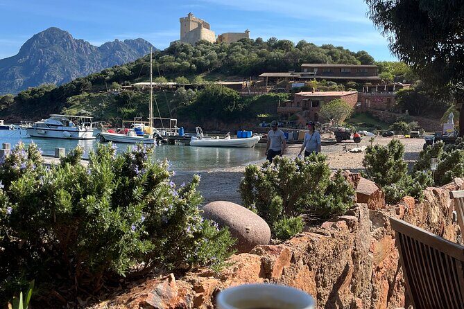 Cruise in a small group in Scandola Girolata Calanques de Piana - Final Thoughts
