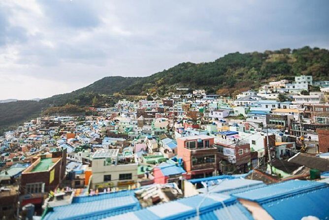 Cruise Layover Busan Highlight Tour with Sea temple and Gamcheon - An In-Depth Look at the Busan Highlights Tour