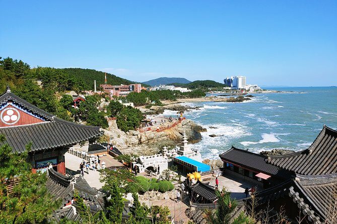 Cruise Layover Busan Highlight Tour with Sea temple and Gamcheon - What to Consider Before Booking