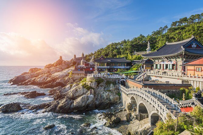 Cruise Layover : Small Group Busan Highlight Day Tour - Key Points