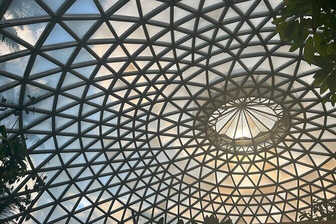 Cruise Lines Shore Tour Brisbane Highlights and Lone Pine - Key Points