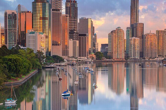 Cruise Lines Shore Tour Brisbane Highlights and Lone Pine - A Detailed Look at the Brisbane Highlights and Lone Pine Tour