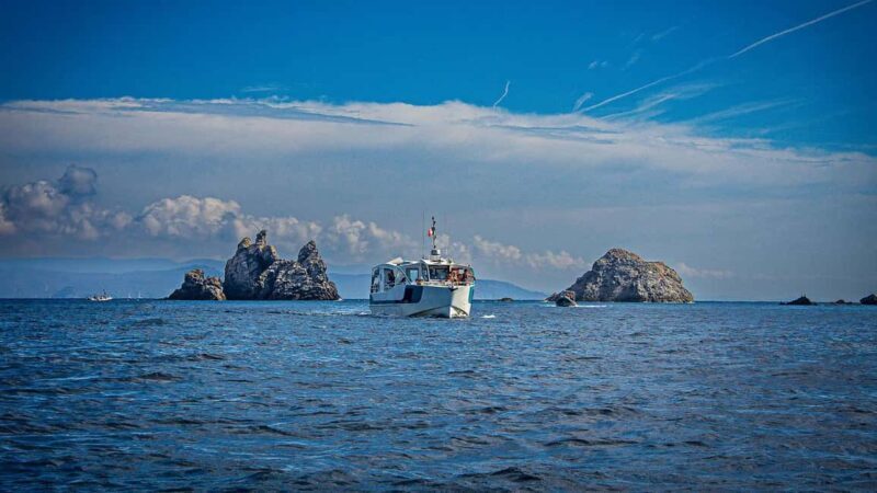 Cruise of the 2 Islands: Porquerolles & Port-Cros with stops - Key Points