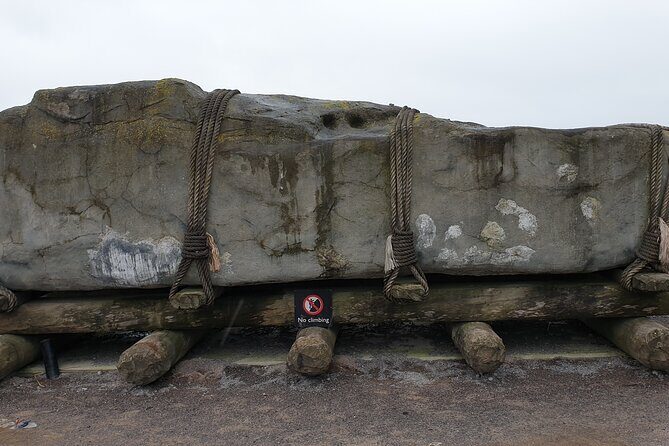 Cruise Ship driver guided tours - Key Points