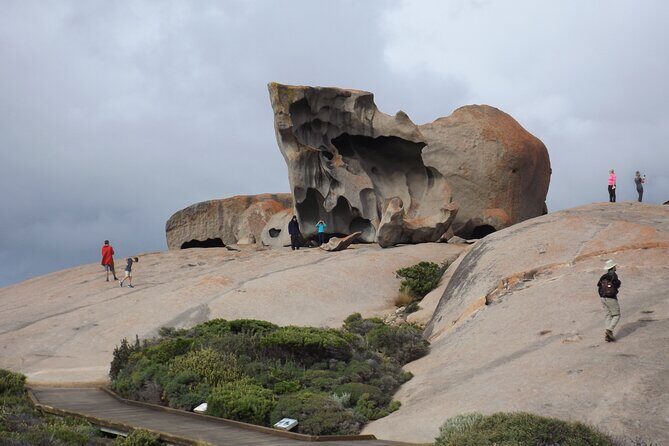 Cruise Ship Flinders Chase Tour - Reviewing the Itinerary: What Truly Stands Out?