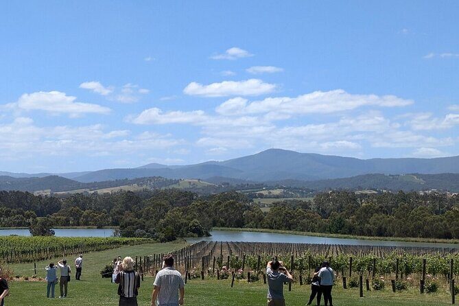 Cruise Ship Friendly Yarra Valley Wine Tour with Port Pickup - Introduction