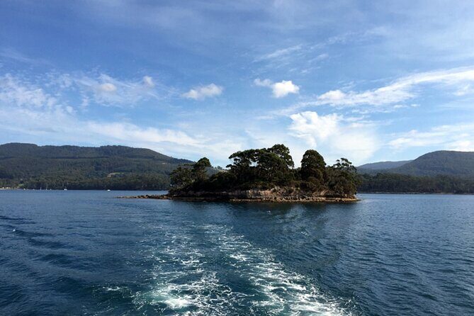 Cruise Ship - Port Arthur Shore Excursion - Hobart - Introduction to the Experience