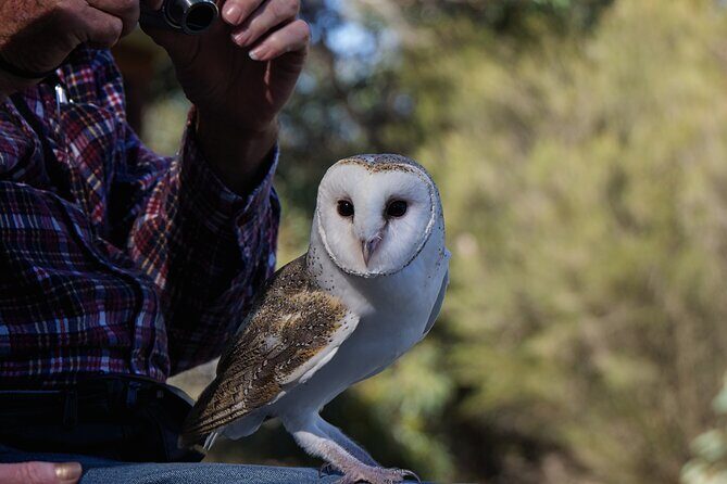 CRUISE SHIP Wildlife Tour - Final Thoughts