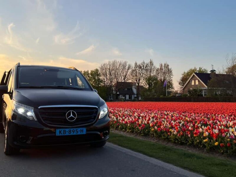 Cruise Terminal IJmuiden: Private Tour by Luxury Van - Practical Tips for Booking and Enjoying Your Tour