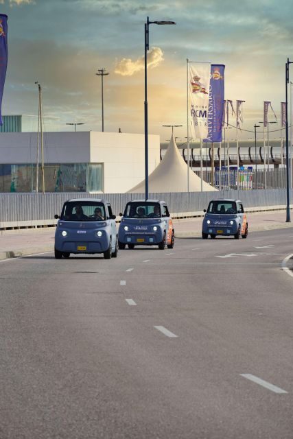Cruise Terminal Pickup: Málaga in 2 Hours by Electric Car - Review Highlights and Authentic Experiences