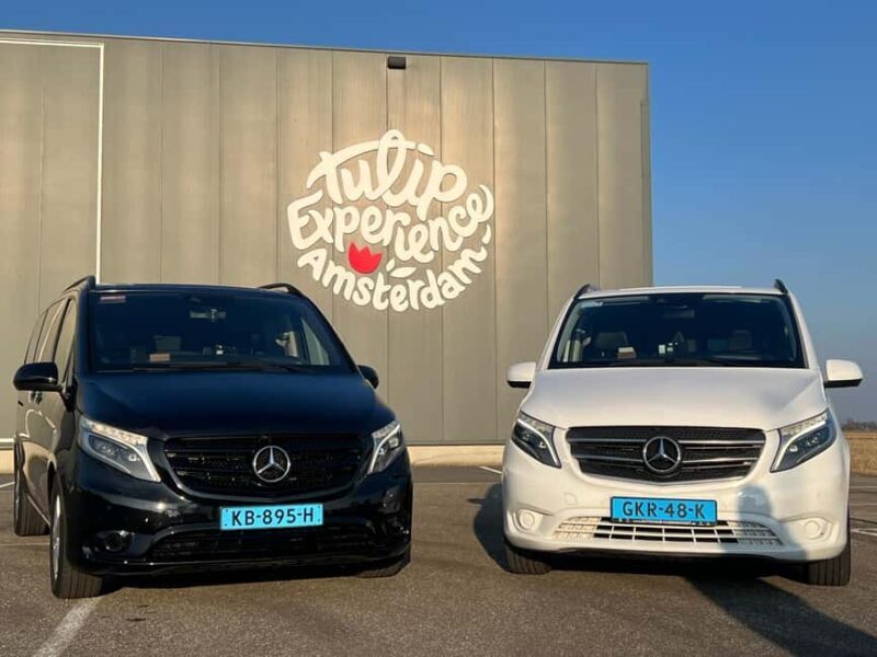 Cruise Terminal Rotterdam: Private Tour by Luxury Van - A Closer Look at the Private Rotterdam Tour Experience