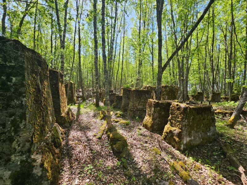 Cruise to Old Kemi with Guided Walking Tour - Exploring Old Kemi with a Guided Cruise and Walk