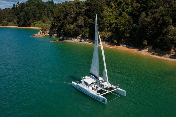 Cruise, Walk, and Sail in Abel Tasman National Park - What to Expect on the Tour
