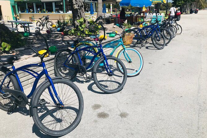 Cruiser Bike Rental at Crandon Park - Key Points