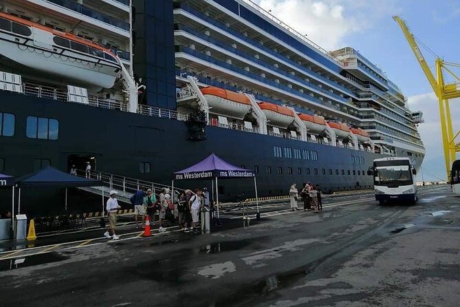 Cruiseship Tour to MY SON HOLYLAND - DA NANG CITY From Chan May or Tien Sa Port - Who Should Consider This Tour?