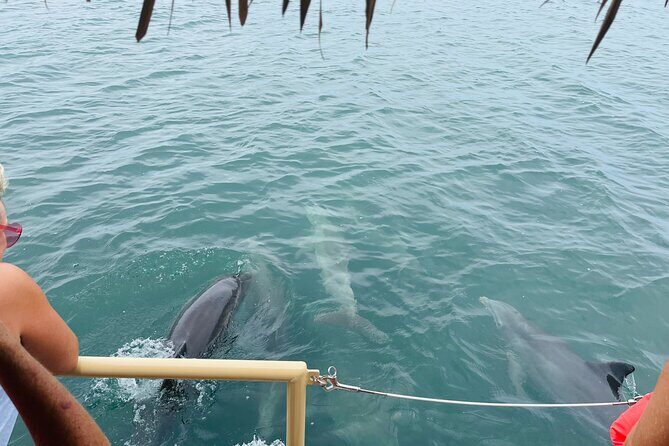 Cruisin Tikis Key Largo - Sunset Tiki Cruise (Private) - FAQ