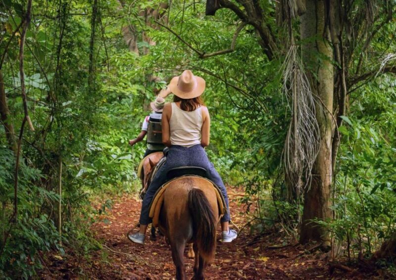 Cruseilles: Horseback Riding in the Countryside - What to Expect from Your Ride