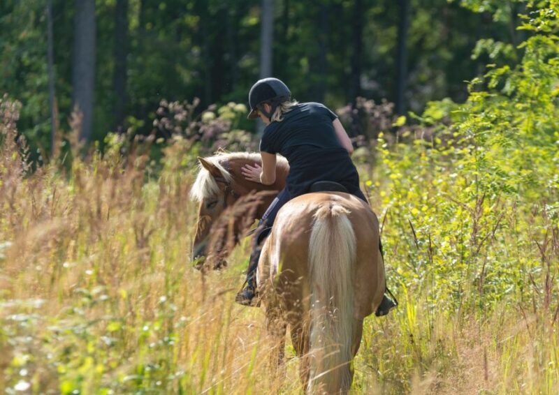 Cruseilles: Horseback Riding in the Countryside - What Reviewers Say