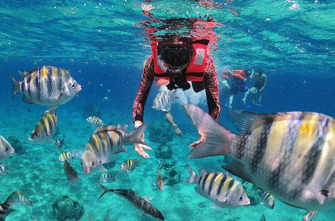 Crusers only Under the Sea of Cozumel - Frequently Asked Questions