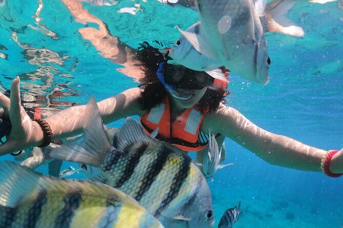 Crystal Boat Tour with Snorkeling and Drinks in Cozumel - Authentic Experiences from Travelers