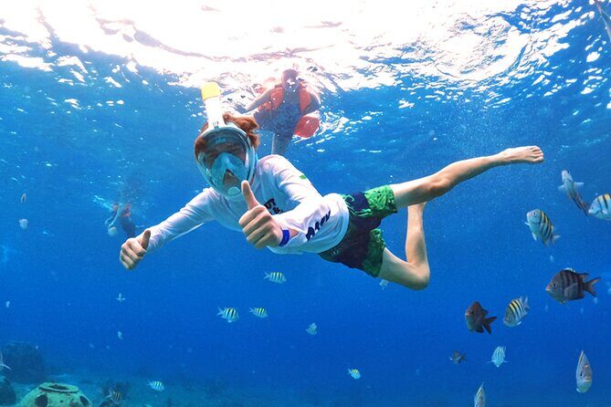 Crystal Boat Tour with Snorkeling and Drinks in Cozumel - Who Will Love This Tour?