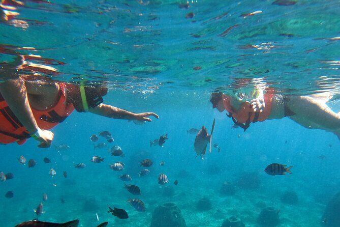Crystal Boat Tour with Snorkeling and Drinks in Cozumel - FAQs