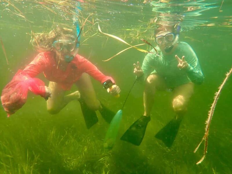 Crystal River: All Inclusive Premier Scalloping Tour - Why It’s Worth Considering