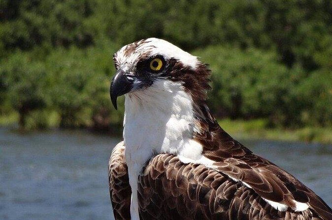 Crystal River Boat and Nature Tour - FAQs