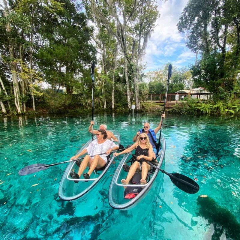 Crystal River: Clear Kayak Manatee & Springs Tour - The Experience We’re Noticing in Reviews