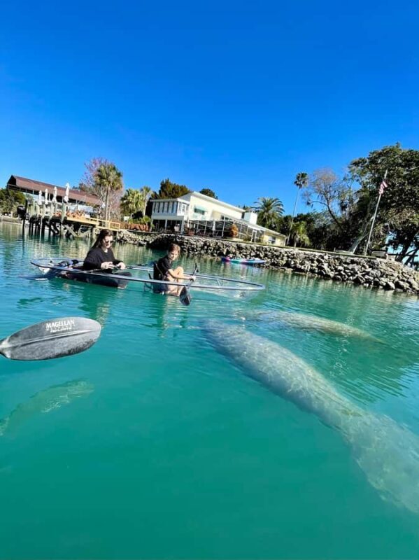 Crystal River: Clear Kayak Manatee & Springs Tour - The Cost & Overall Value